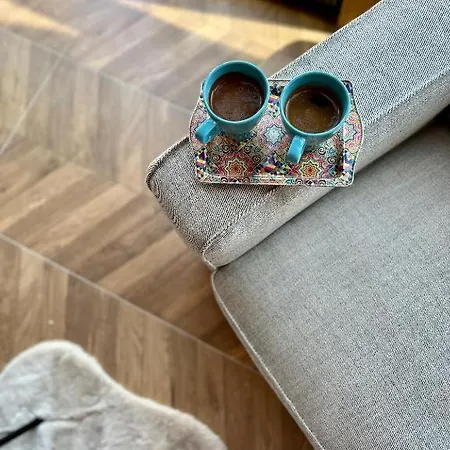 Villa Mount Log *
